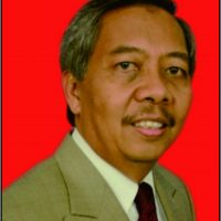 Prof Sudharto P Hadi MES PhD